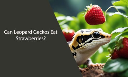 Can Leopard Geckos Eat Strawberries?