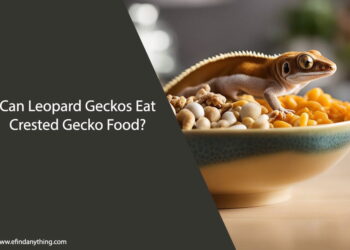 Can Leopard Geckos Eat Crested Gecko Food