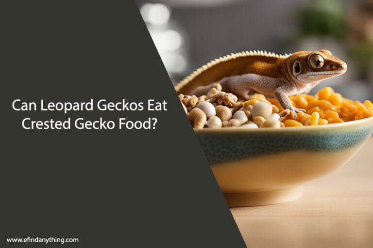 Can Leopard Geckos Eat Crested Gecko Food