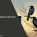 4 Crows Spiritual Meaning