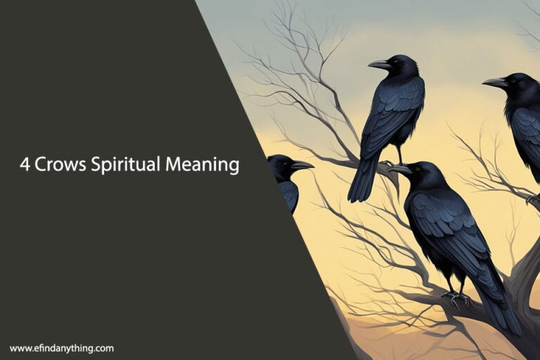 4 Crows Spiritual Meaning
