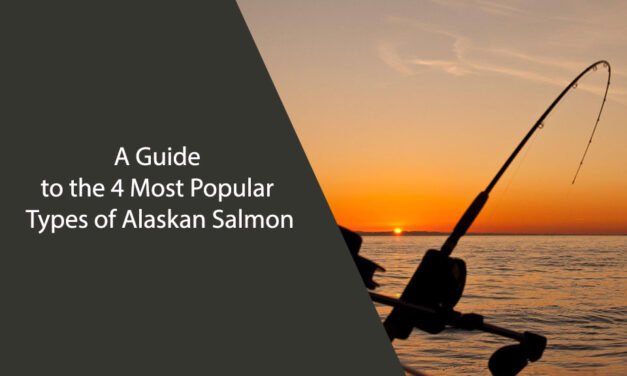 A Guide to the 4 Most Popular Types of Alaskan Salmon