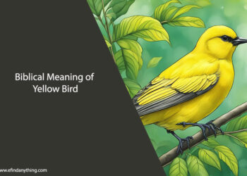 Biblical Meaning of Yellow Bird