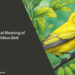 Biblical Meaning of Yellow Bird