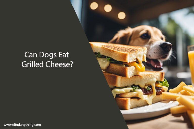 Grilled Cheese