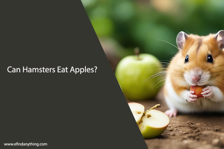 Can Hamsters Eat Apples