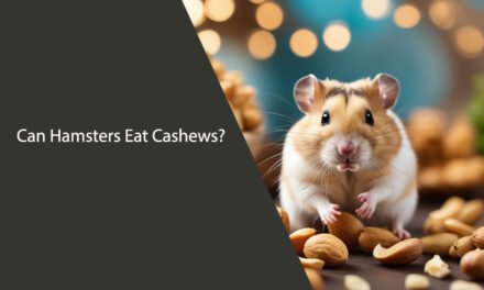 Can Hamsters Eat Cashews? A Comprehensive Guide