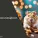 Can Hamsters Eat Cashews?
