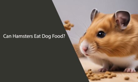 Can Hamsters Eat Dog Food? A Comprehensive Guide