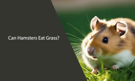Can Hamsters Eat Grass? A Comprehensive Guide