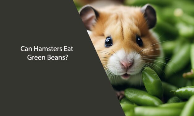 Can Hamsters Eat Green Beans? A Comprehensive Guide
