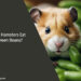 Can Hamsters Eat Green Beans