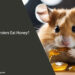 Can Hamsters Eat Honey