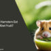 Can Hamsters Eat Kiwi Fruit