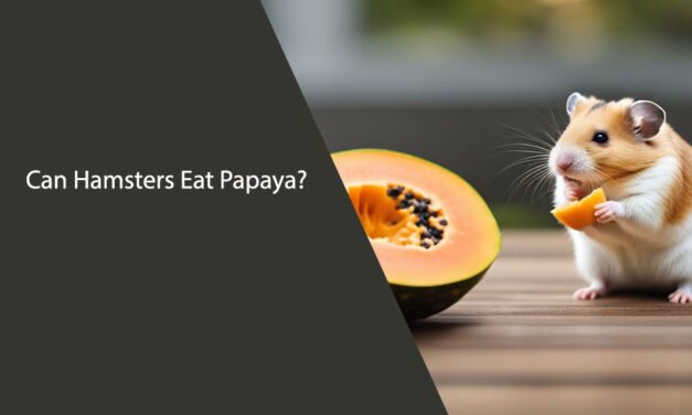 Can Hamsters Eat Papaya? A Comprehensive Guide