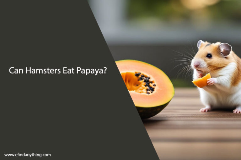 Can Hamsters Eat Papaya