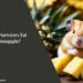 Can Hamsters Eat Pineapple