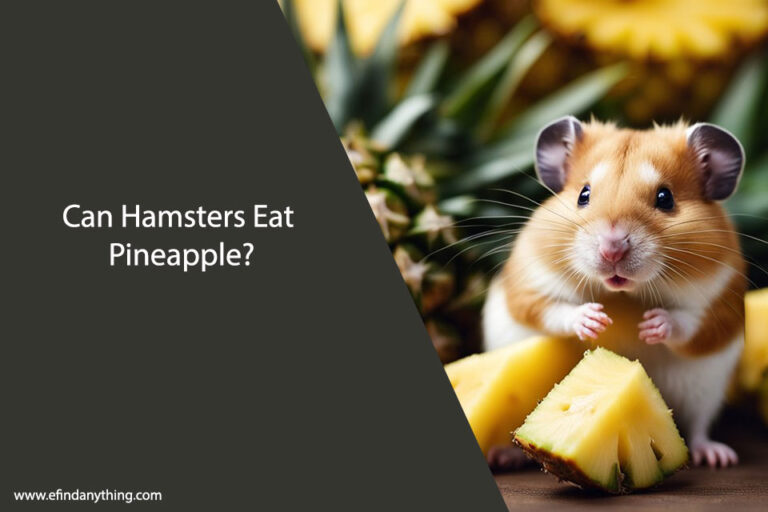 Can Hamsters Eat Pineapple