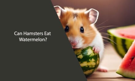 Can Hamsters Eat Watermelon? A Comprehensive Guide