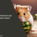 Can Hamsters Eat Watermelon