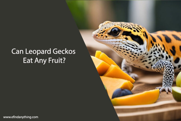 Can Leopard Geckos Eat Any Fruit