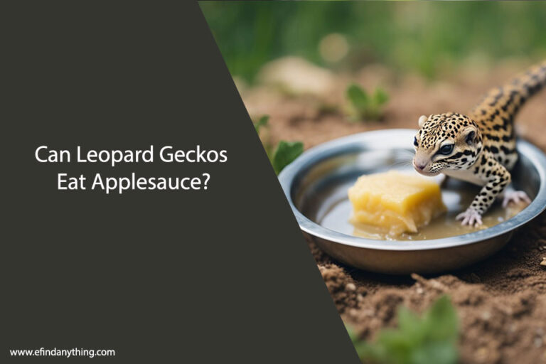 Can Leopard Geckos Eat Applesauce