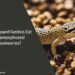Can Leopard Geckos Eat Metamorphosed Mealworms