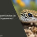 Can Leopard Geckos Eat Only Superworms