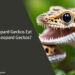 Can Leopard Geckos Eat Other Leopard Geckos