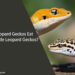 Can Leopard Geckos Eat Other Little Leopard Geckos