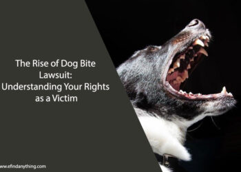 Dog Bite Lawsuit