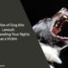 Dog Bite Lawsuit