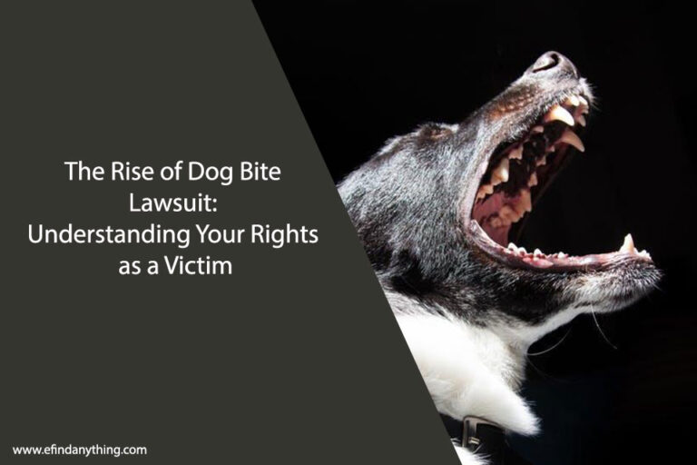 Dog Bite Lawsuit