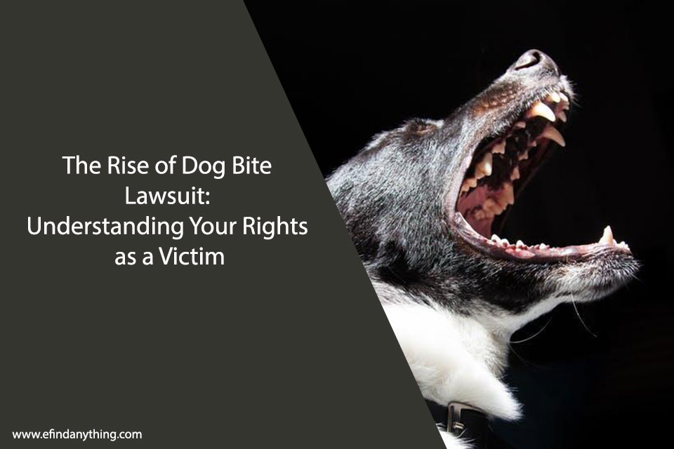 Dog Bite Lawsuit