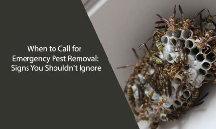 When to Call for Emergency Pest Removal: Signs You Shouldn’t Ignore