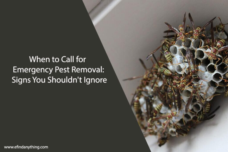 Emergency Pest Removal
