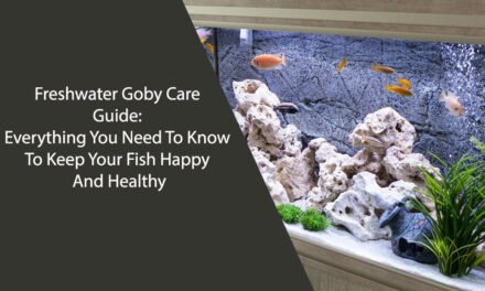 Freshwater Goby Care Guide: Everything You Need To Know To Keep Your Fish Happy And Healthy