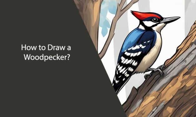 How to Draw a Woodpecker: Step-by-Step Guide for Beginners