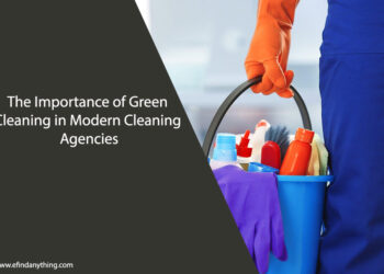 Modern Cleaning Agencies