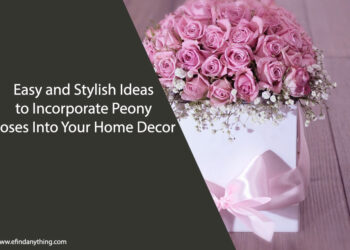 Peony Roses