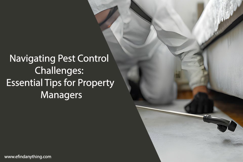 Navigating Pest Control Challenges: Essential Tips for Property Managers