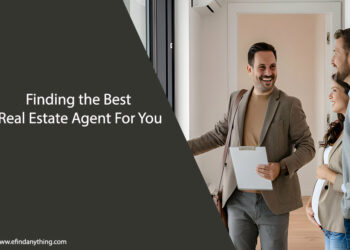Real Estate Agent