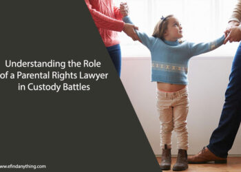 Role of a Parental Rights Lawyer in Custody Battles
