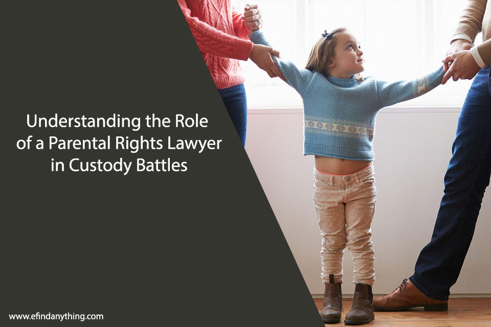 Role of a Parental Rights Lawyer in Custody Battles