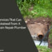 Sewer Drain Repair Plumber