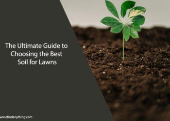 Soil for Lawns