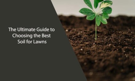 The Ultimate Guide to Choosing the Best Soil for Lawns