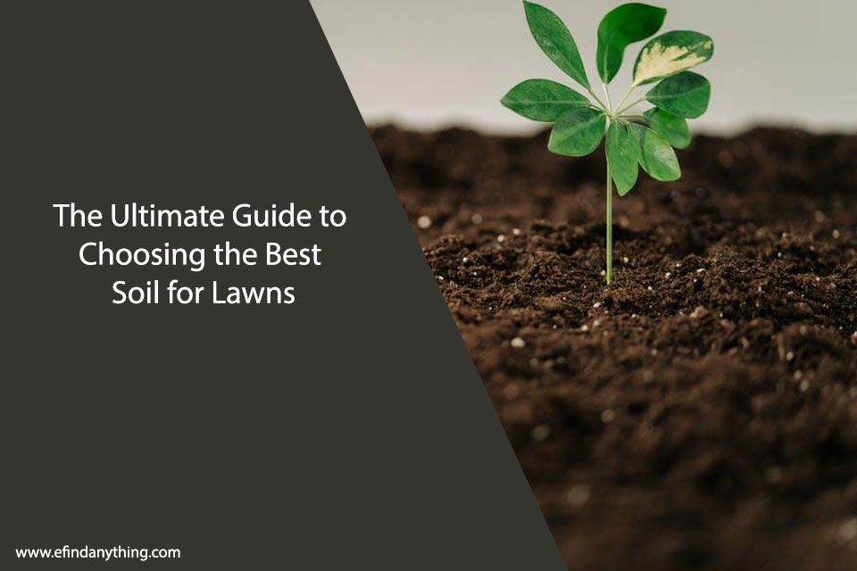 Soil for Lawns