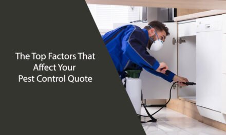 The Top Factors That Affect Your Pest Control Quote