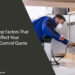 The Top Factors That Affect Your Pest Control Quote